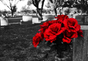 Roses at Cemetry